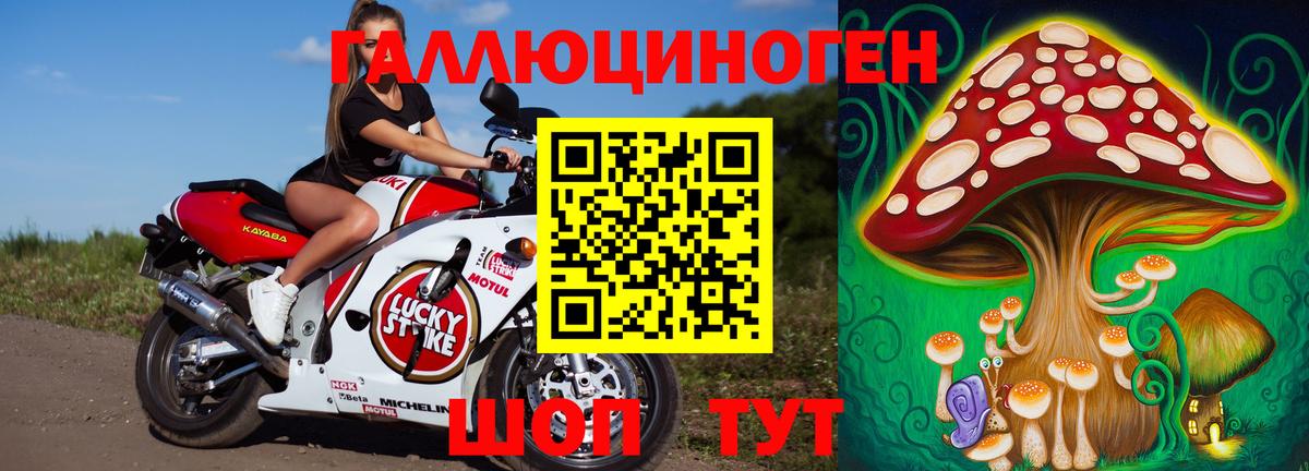 Железноводск  Псилоцибиновые грибы Psilocybe  Вход с VPN 